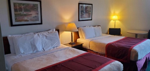 Bellis Inn image 10