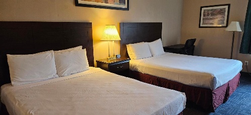 Bellis Inn image 2