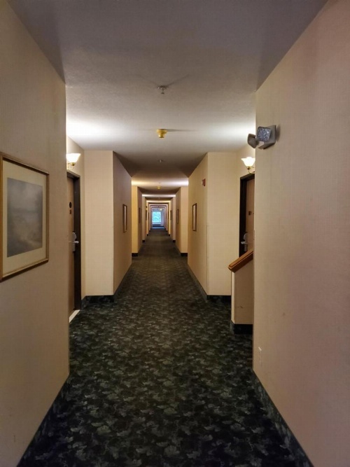 Bellis Inn image 20