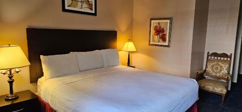 Bellis Inn image 24