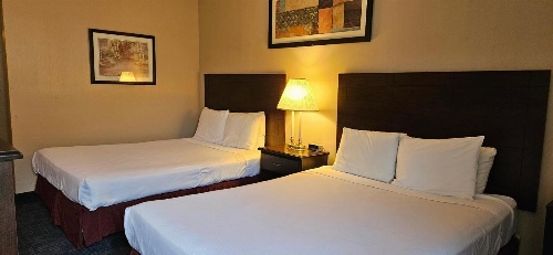 Bellis Inn image 3