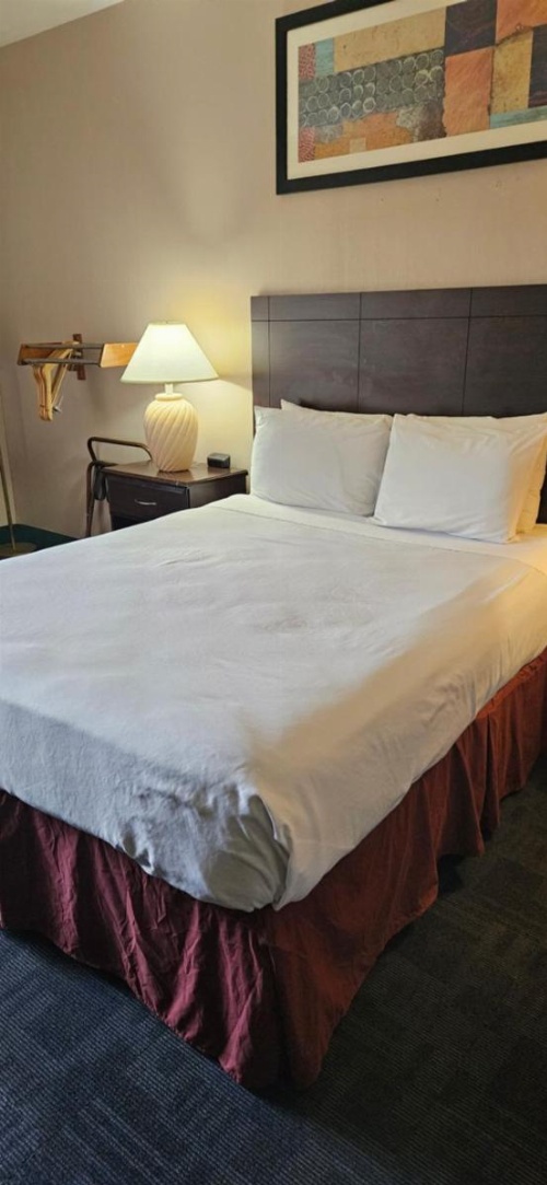 Bellis Inn image 5