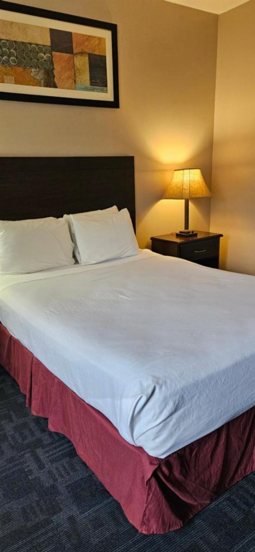 Bellis Inn image 6