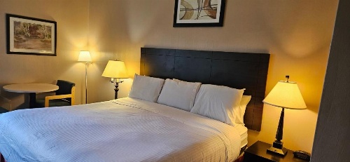Bellis Inn image 7