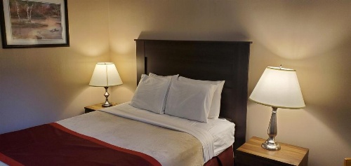 Bellis Inn image 8